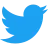 Twitter Icon